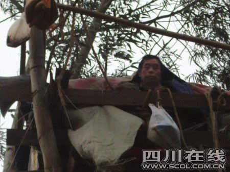 老人树居3月抗强拆被诉聚众扰乱交通秩序罪