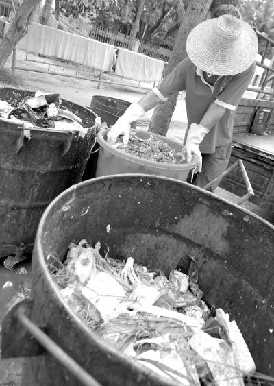 养猪场的工人正在海口市一酒店外收泔水。